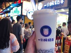 -一只酸奶牛(八一路店)