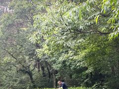 -虞山风景区