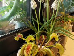 -BOCATA 西班牙餐厅(三里屯店)