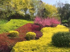 -宝鸡植物园