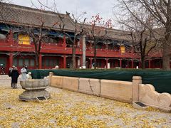 -北京石刻艺术博物馆(五塔寺)