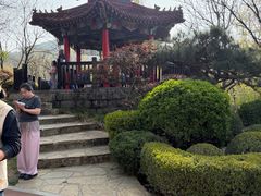 -大连植物园