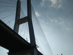 -重庆国际马戏城