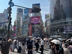 -涩谷全向十字路口
