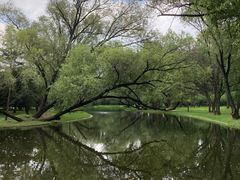 -上海共青森林公园