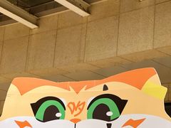 -梦之蓝青奥体育公园体育馆
