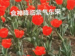 -成都市文化公园