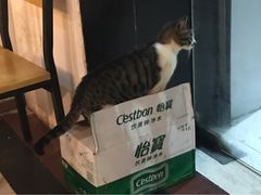 -黑皮烧烤(民意四路店)
