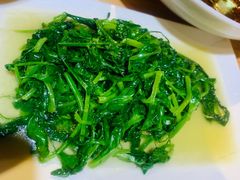 -人民食堂(青羊宫店)