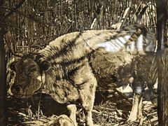 -贵阳龙洞堡国际机场-T2航站楼