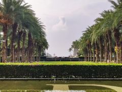 -三亚海棠湾万丽度假酒店