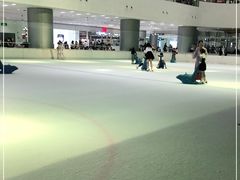 -TheRink大零溜冰场(IFS国金中心店)