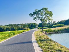 -良渚古城遗址公园