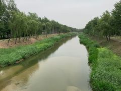 -东郊湿地公园