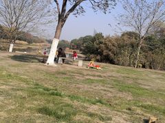 -艾溪湖湿地公园