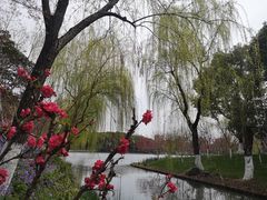 -圩墩遗址公园