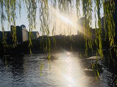 -文瀛公园