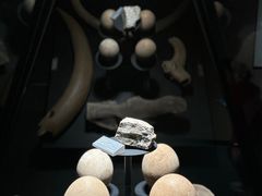 -大同市博物馆