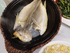 泉水黄花鱼-锦園(伊势丹美食城店)