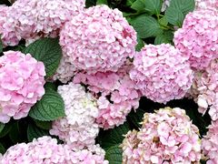 -上海长风大悦城