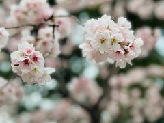 -静安雕塑公园