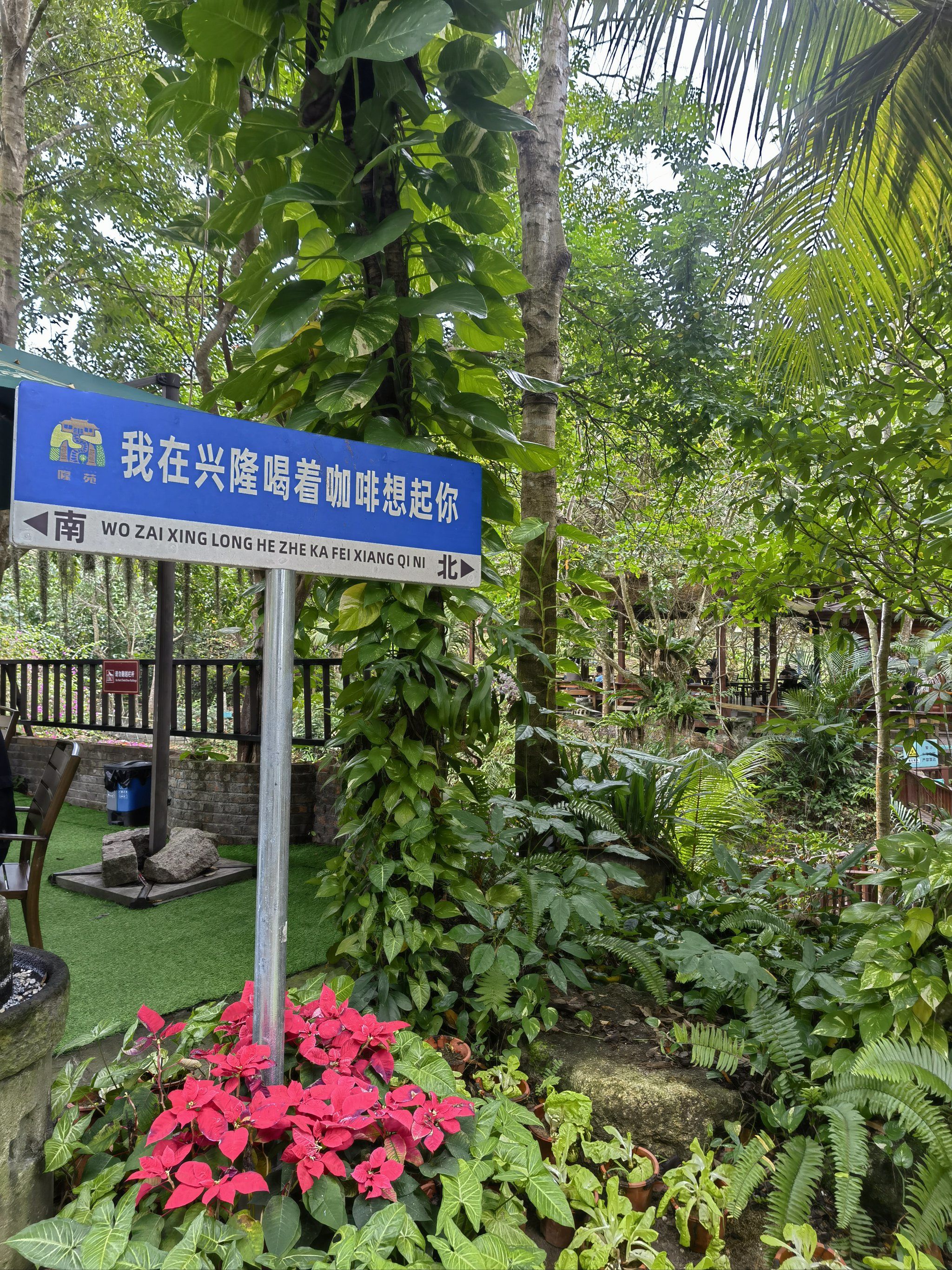 万宁·兴隆镇·隆苑咖啡庄园