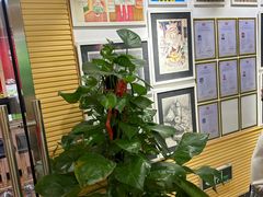 -好莱坞音乐进修学校(四川北路校区)