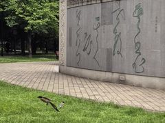 -唐城墙遗址公园