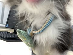 -全心全意连锁动物医院(加州店)