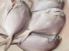 -牛排王糟粕醋火锅(海甸分店)