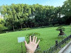 -申粤轩酒楼·三十年粤菜经典(丁香花园店)