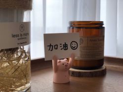 -ANNIL安奈尔·NASX超透白·科技抗衰·问题性肌肤管理