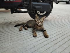 -COSTA COFFEE(广州广粤天地店)