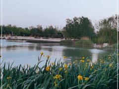 -马家湾湿地公园
