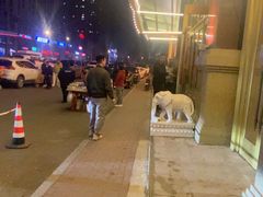 -龙江大舞台旗舰店