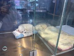 -FAELING PETS美天灵宠物(富力广场店)