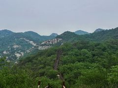 -大岭沟猕猴桃谷风景区