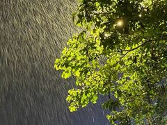 -仟吉KenGee(21世纪店)