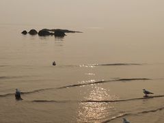 -老虎石海上公园