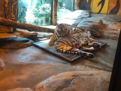 -皇家极地海洋世界-售票处