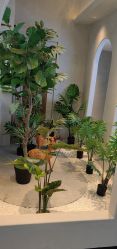 点击看大图 -悦润荟美容抗衰中心