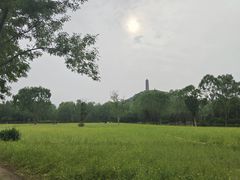 -北坞公园