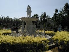 -百万葵园