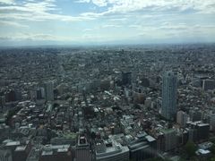 -东京都厅舍