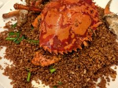 -喜记避风塘炒辣蟹(旗舰店)