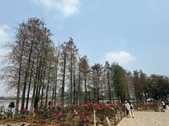 -顺峰山公园