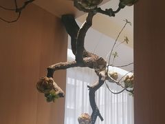 -鱼你相聚·河鲜馆(袁家岭店)