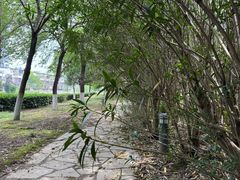-白塘生态植物园