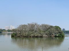 -海珠湖公园