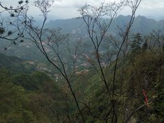 -塔云山